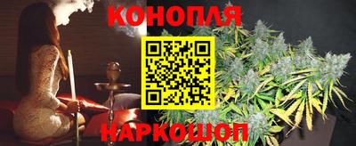 a pvp Будённовск