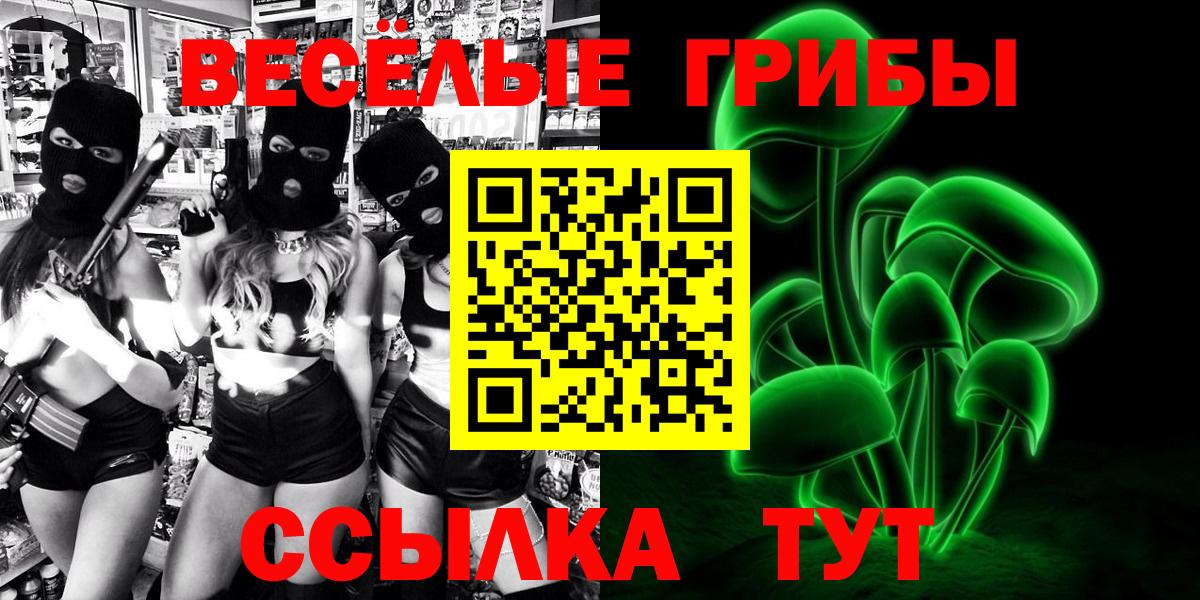 Псилоцибиновые грибы GOLDEN TEACHER Старая Русса