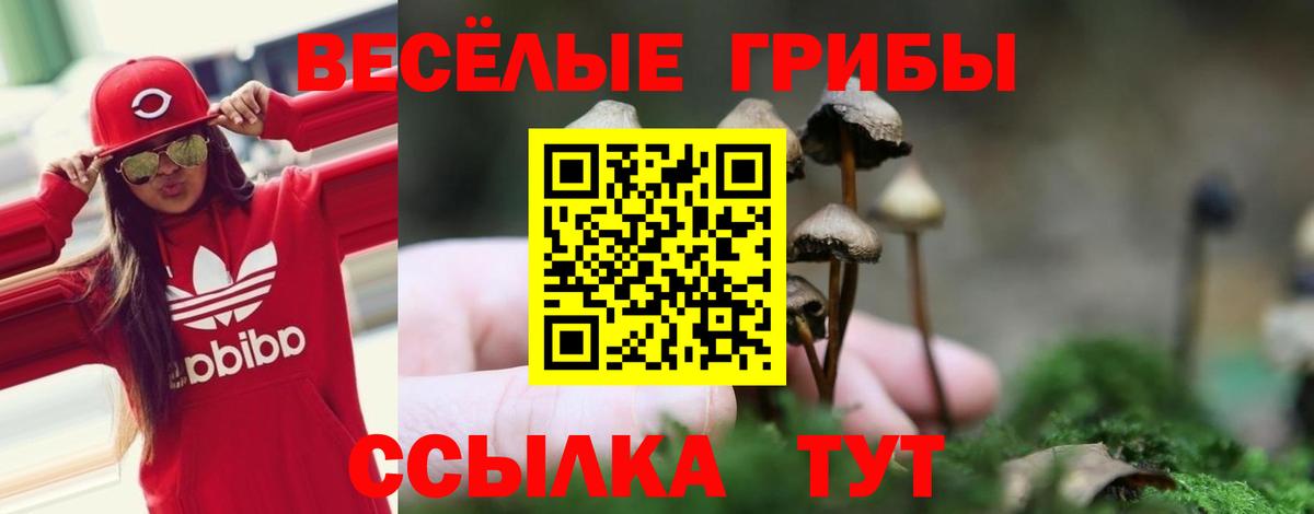 Старая Русса  Псилоцибиновые грибы мицелий  Псилоцибиновые грибы Psilocybe  Вход с VPN 